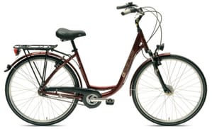Ein Beispiel-Fahrrad für Ihren Aufenthalt an der Elbe Ein Beispiel-Fahrrad für Ihren Aufenthalt an der Elbe
